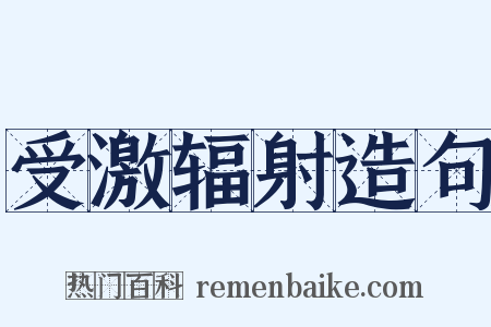 受激辐射造句是什么意思的图片